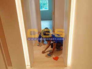 Cleaning Service
