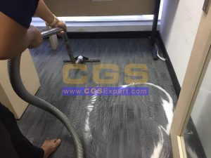 Carpet Shampooing Service