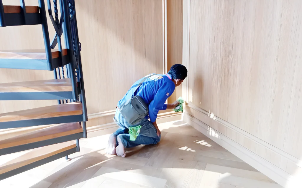 Deep Cleaning