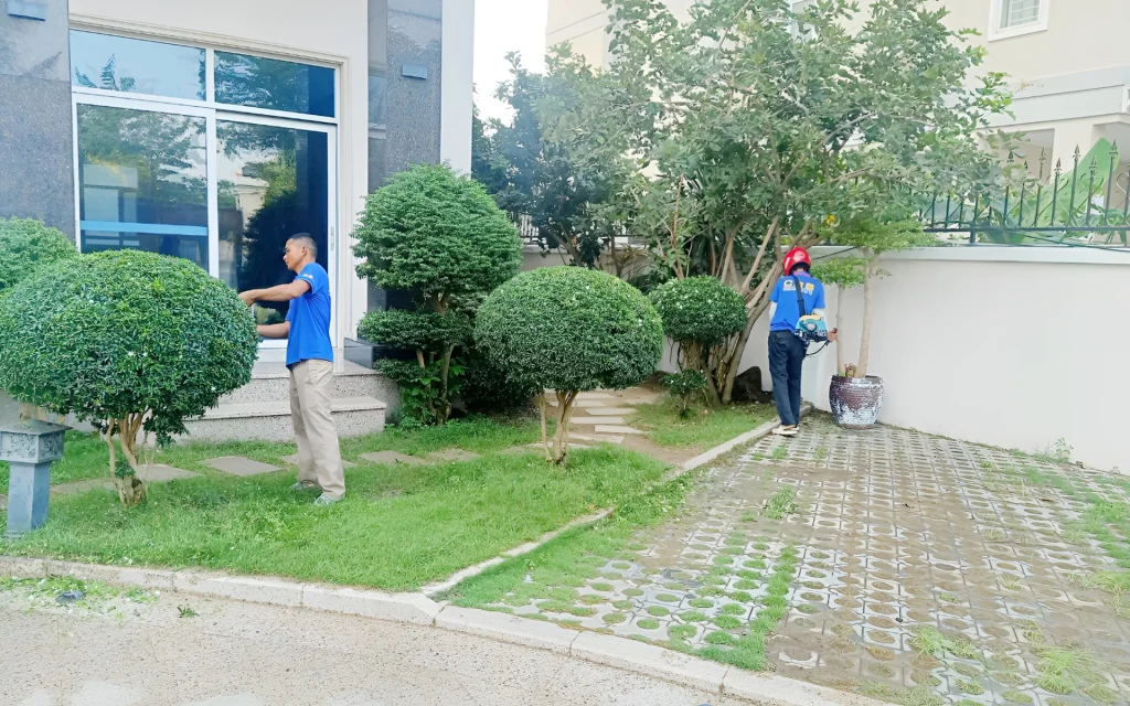 Gardening - Grass Dreaming - Flower Cutting