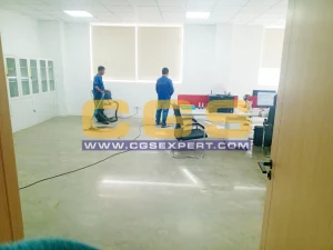 Cleaning Service