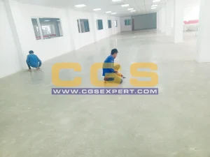 Cleaning Service