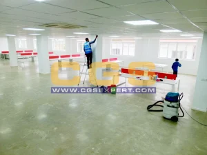 Cleaning Service