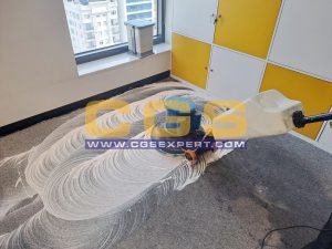 Carpet Shampooing Service