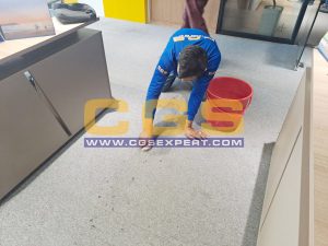 Carpet Shampooing Service
