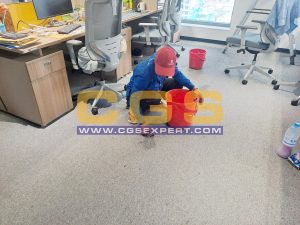 Carpet Shampooing Service
