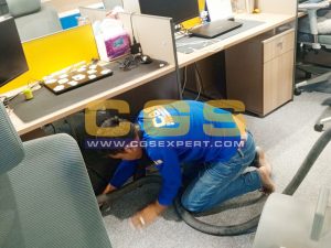 Carpet Shampooing Service